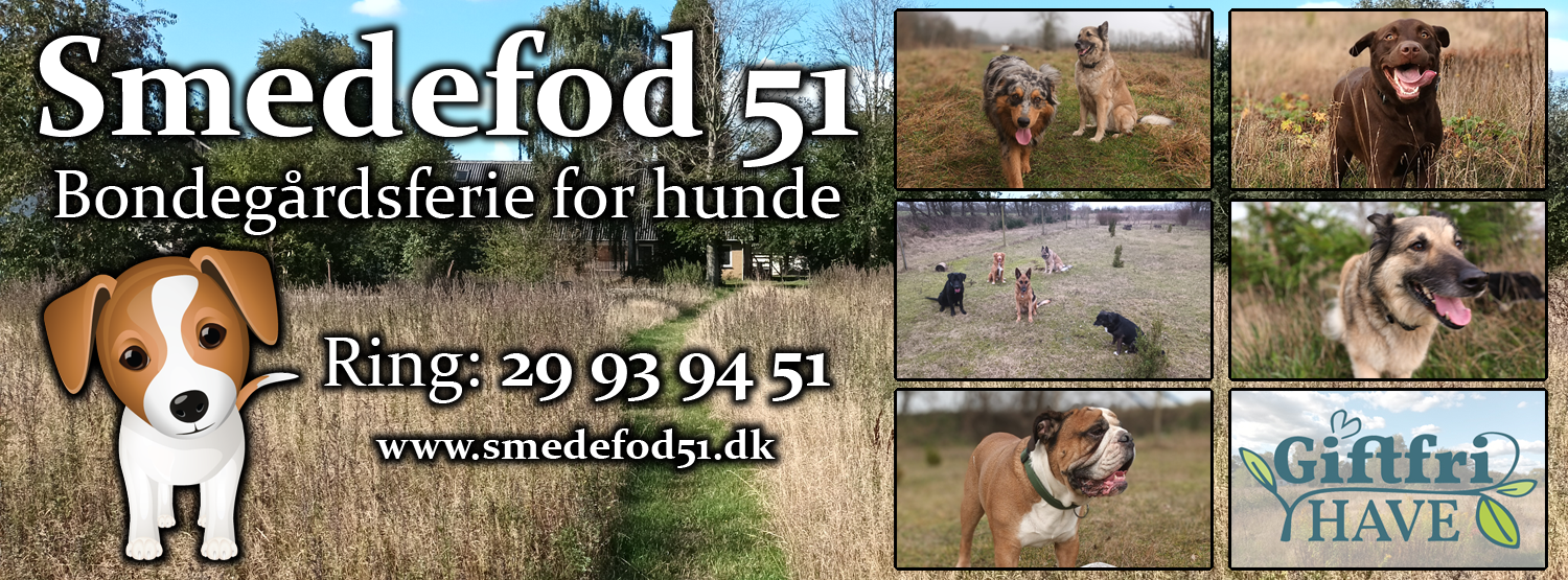 Smedefod 51 - Bondegårdsferie for hunde